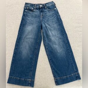 Banana Republic Dark Blue Flare Jeans
